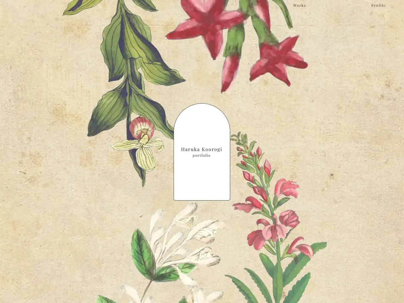 Haruka Koorogi Portfolio